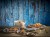 Taca BLUE OCEAN GN 2/4 melamina