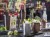 Puchar JULEP MUG stal