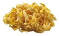 Matryca do makaronu Fettuccine 8000 Bartscher..