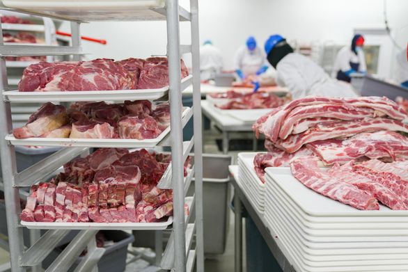 Kuter gastronomiczny – do czego służy i czym różni się od robota kuchennego?